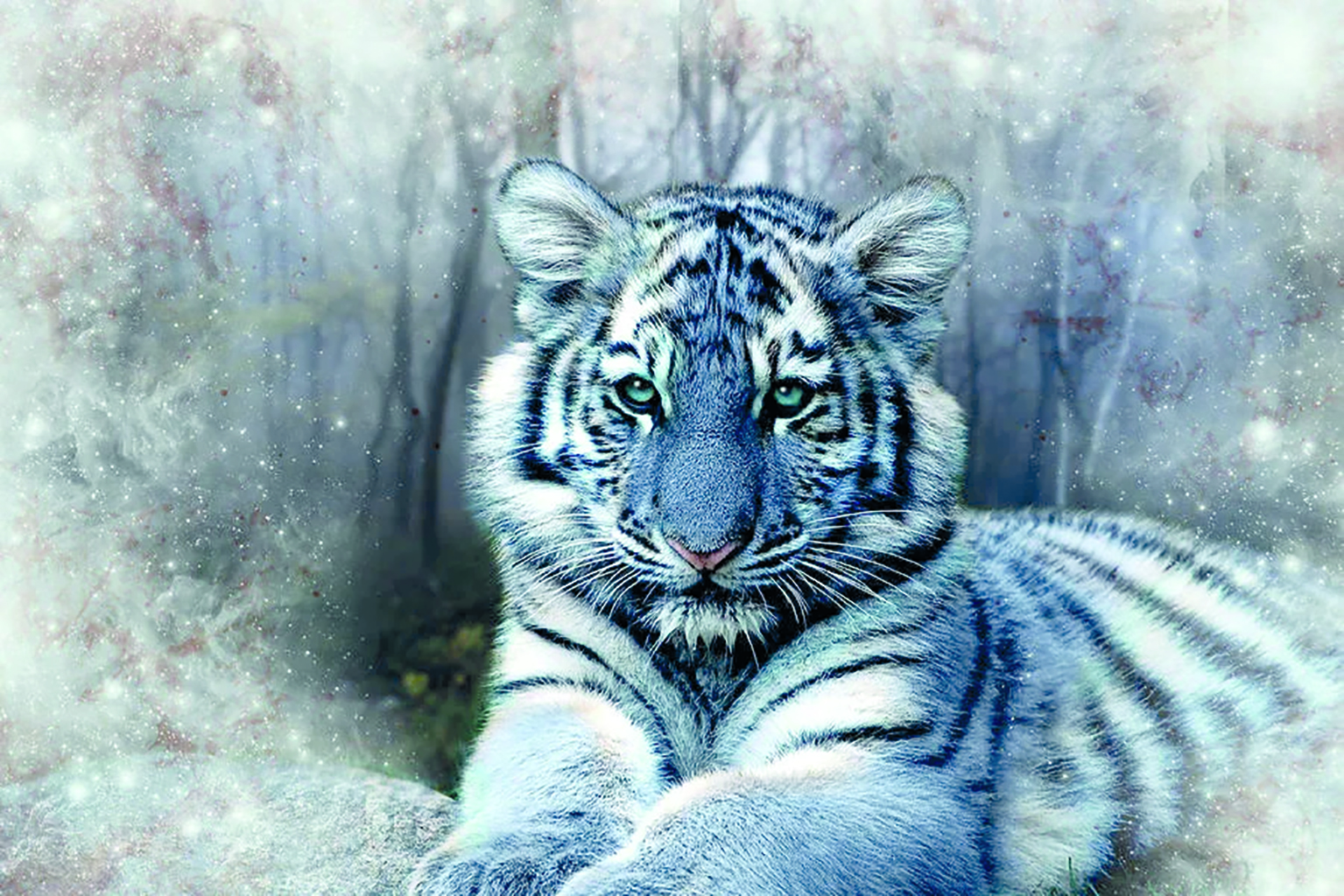 Голубого Водяного Тигра