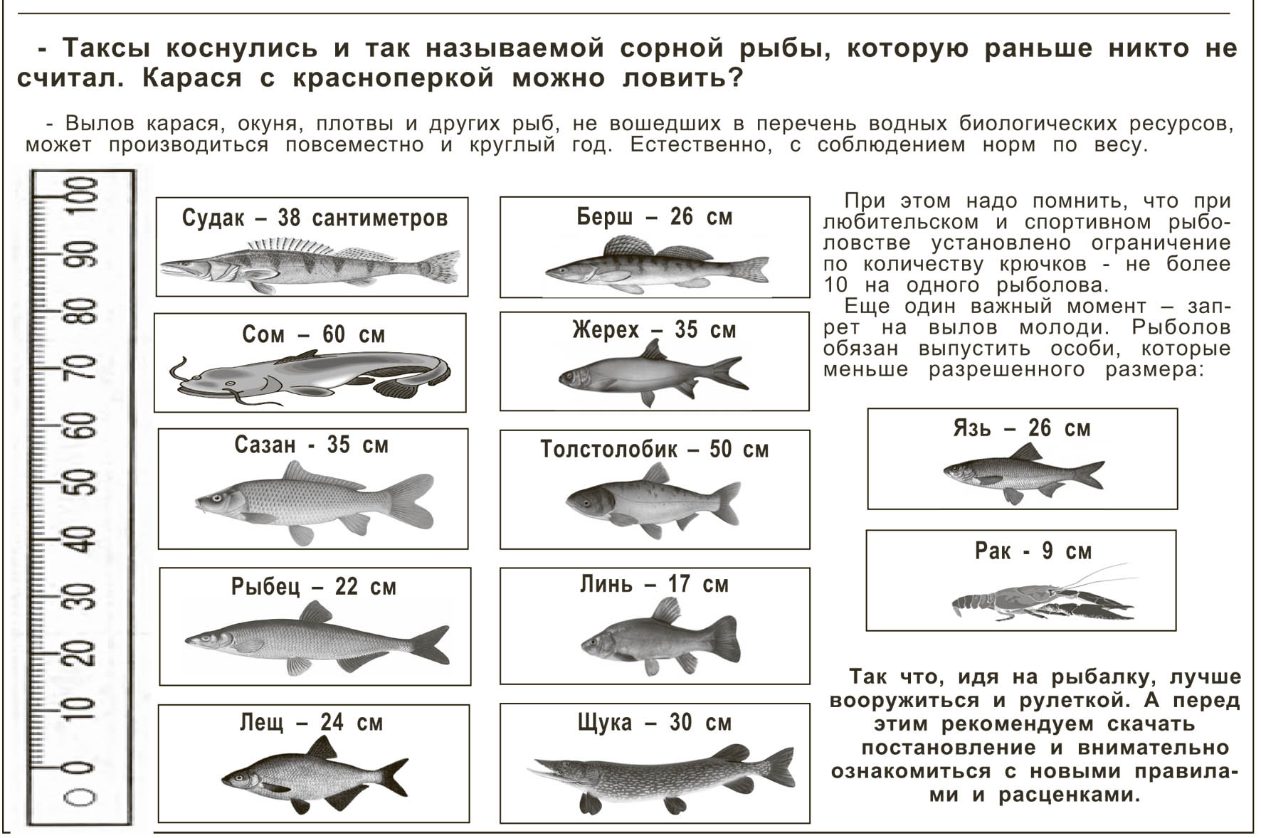 Что класть в кубарь для ловли рыбы